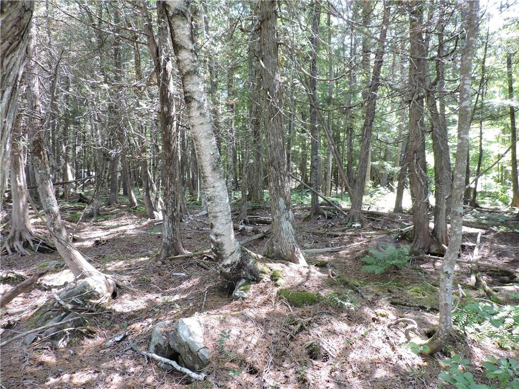 6-16a-50 Rams Island Road Dover-Foxcroft, ME 04426 - Photo 6 of 7 Photo
