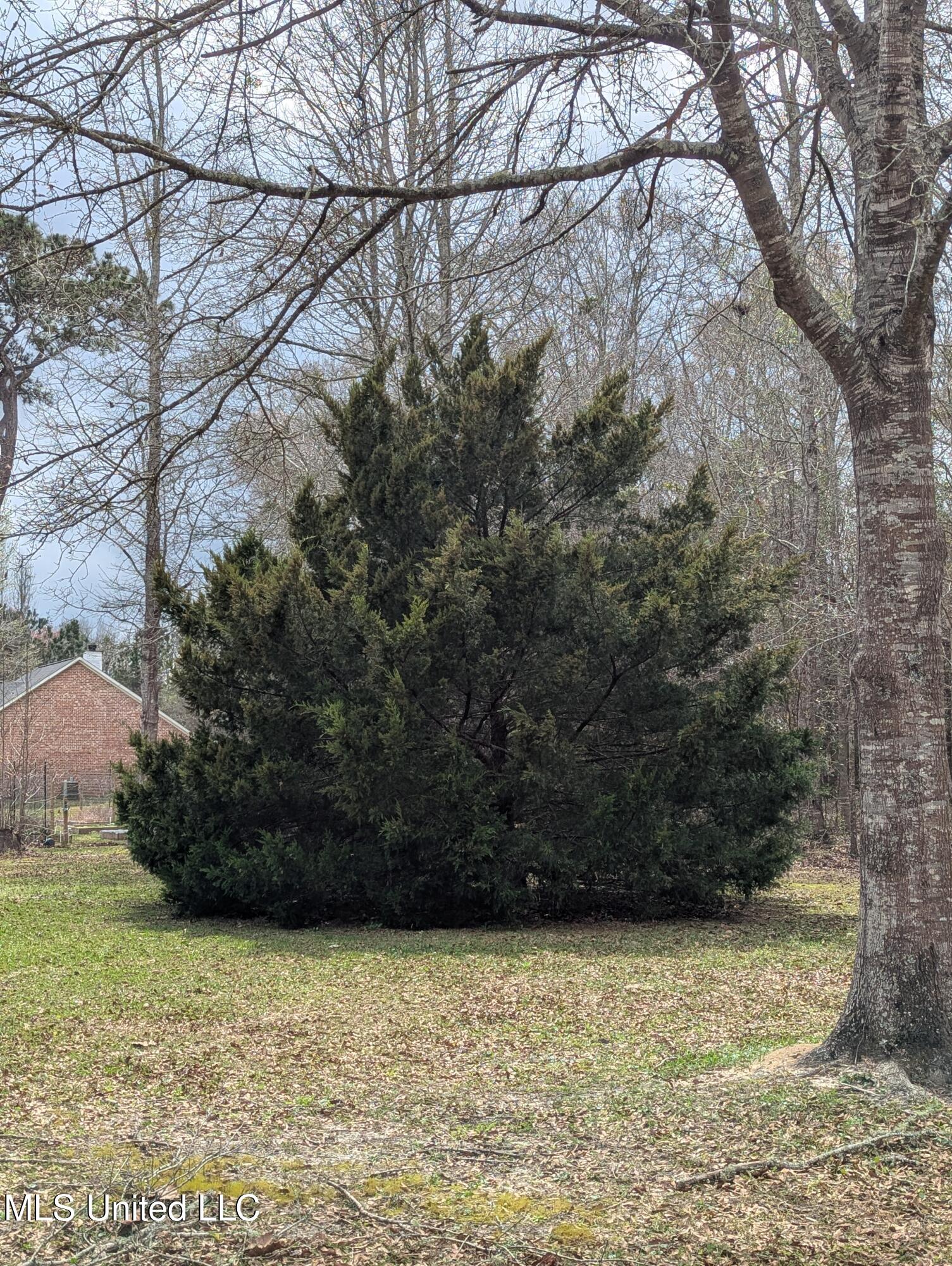 21217 Trails End Road Moss Point, MS 39562 - Photo 7 of 34 PXL_20250314_183500825