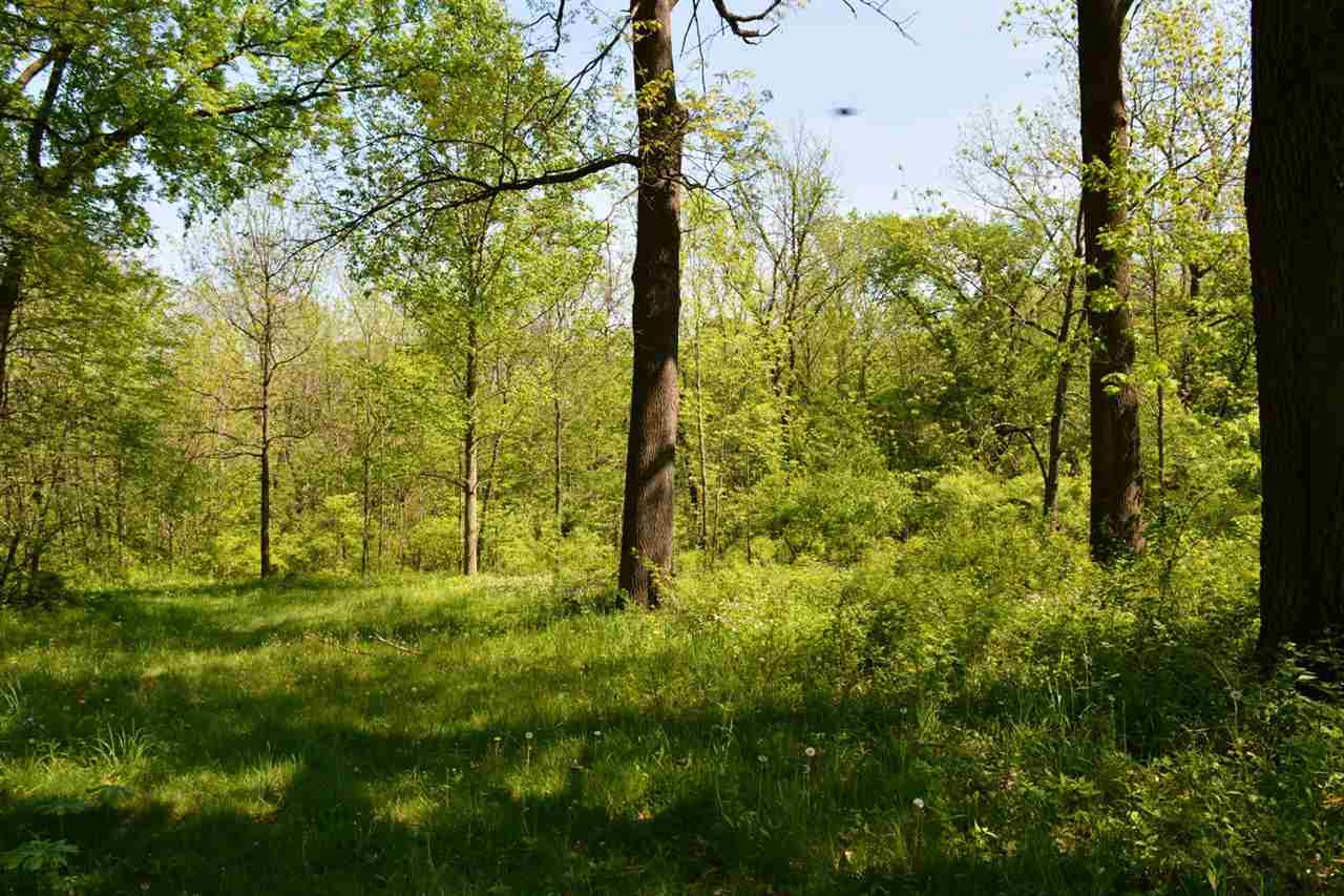 3752 South Butternut Road Oregon, IL 61061 - Photo 11 of 19