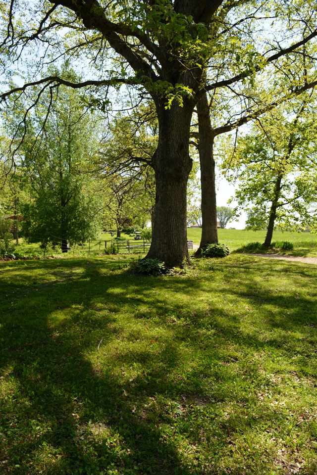 3752 South Butternut Road Oregon, IL 61061 - Photo 18 of 19 a view of a trees in a yard