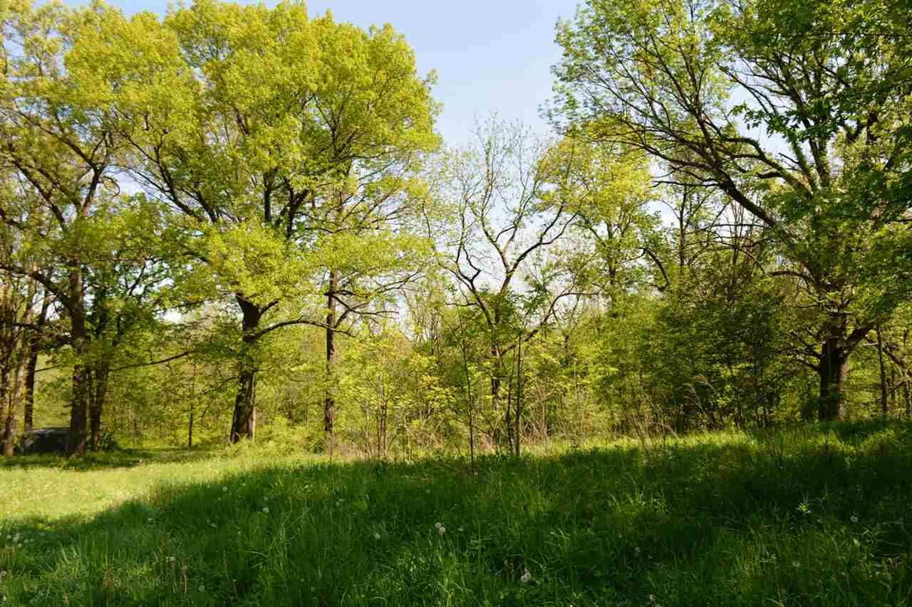 3752 South Butternut Road Oregon, IL 61061 - Photo 5 of 19 a backyard of a house with plants and large trees