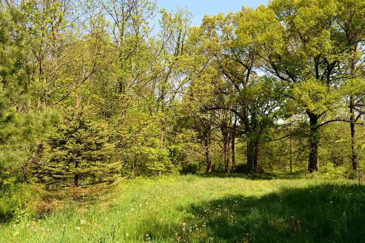 3752 South Butternut Road Oregon, IL 61061 - Photo 6 of 19 a view of yard with trees