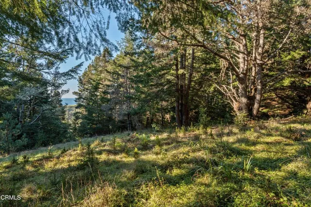a view of outdoor space and trees