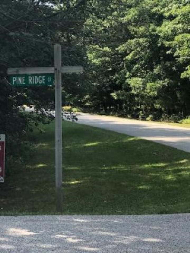 Pine Ridge Standish, MI 48658 - Photo 4 of 9