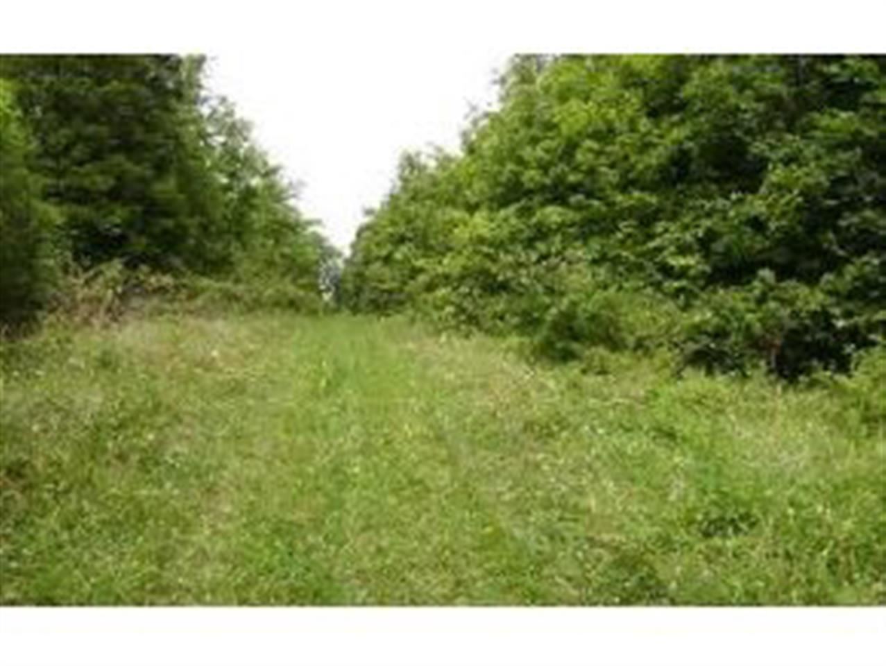 8000 South Zikes Road Bloomington, IN 47401 - Photo 1 of 2 Gallery Image 1