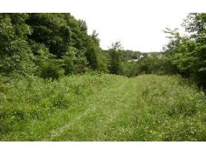8000 South Zikes Road Bloomington, IN 47401 - Photo 2 of 2 Gallery Image 2