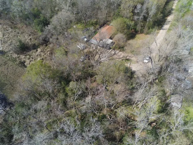 a view of a forest with lots of trees