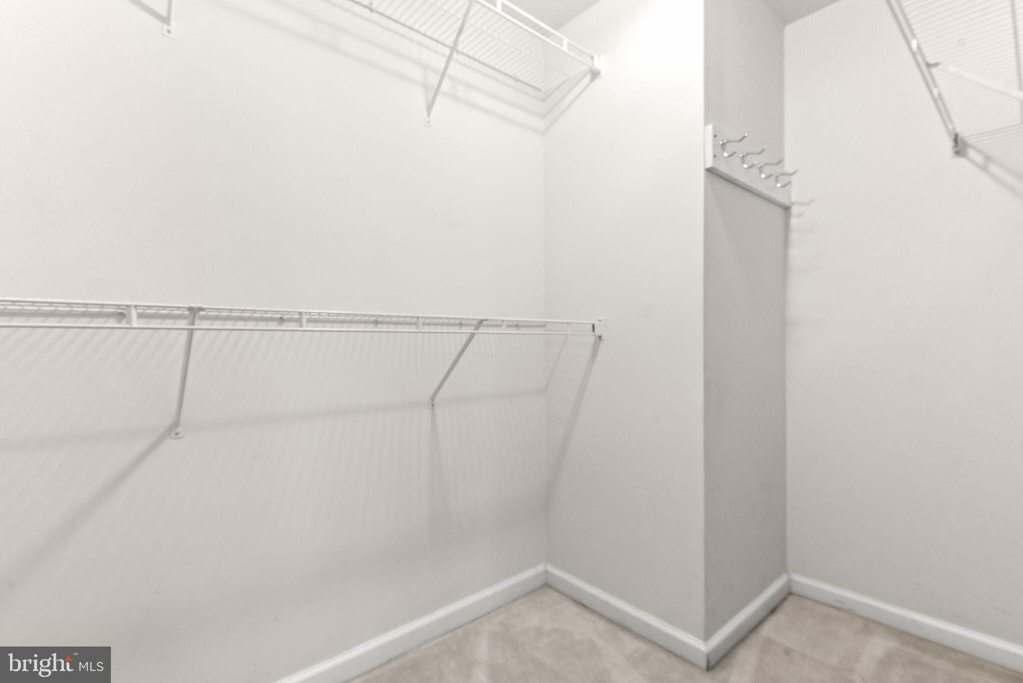 8241 Academy Road, Unit 41 Ellicott City, MD 21043 - Photo 23 of 52 Primary Walk-in Closet