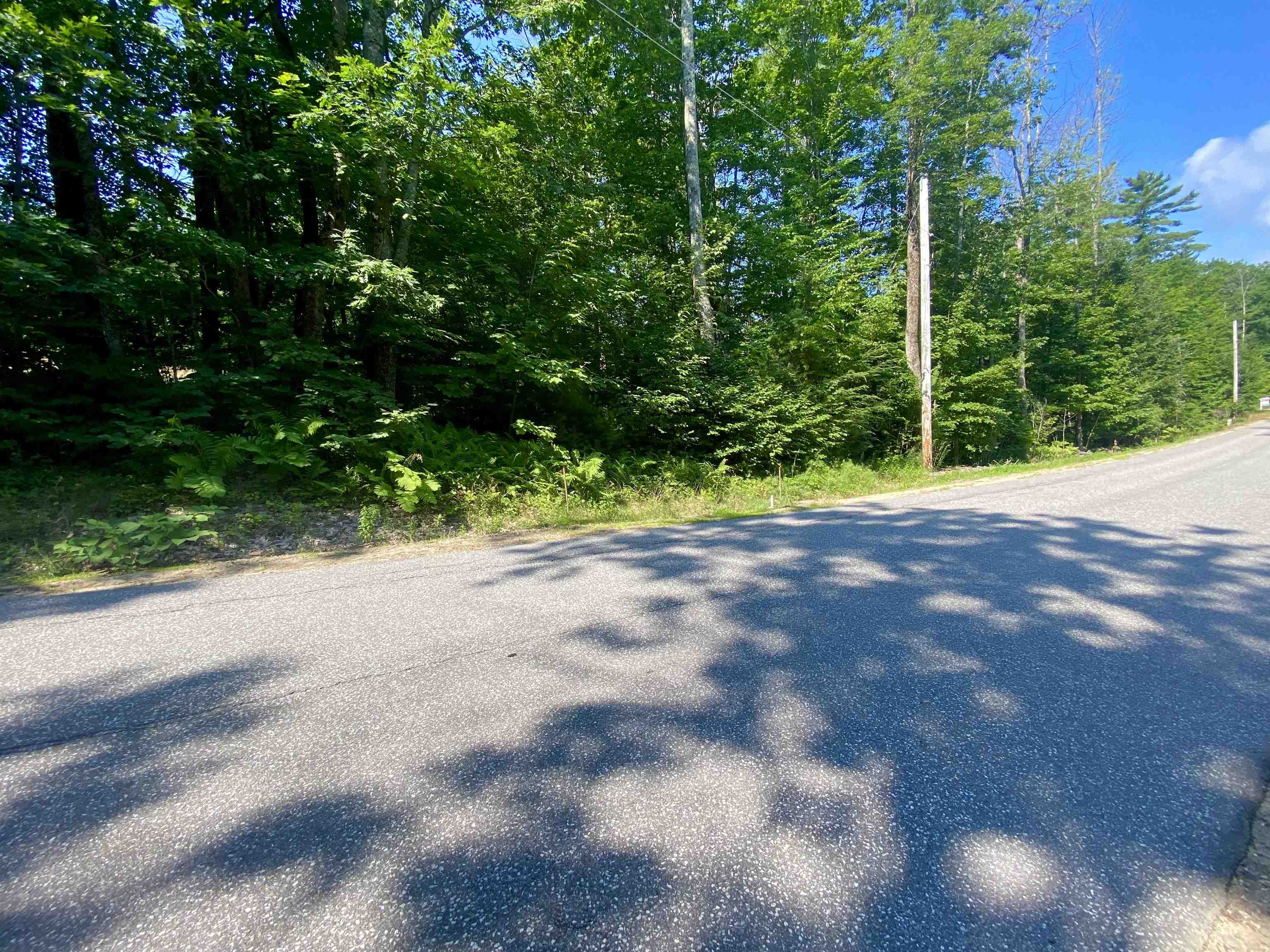 135 Center Harbor Neck Road Center Harbor, NH 03226 - Photo 3 of 18 Gallery Image 3