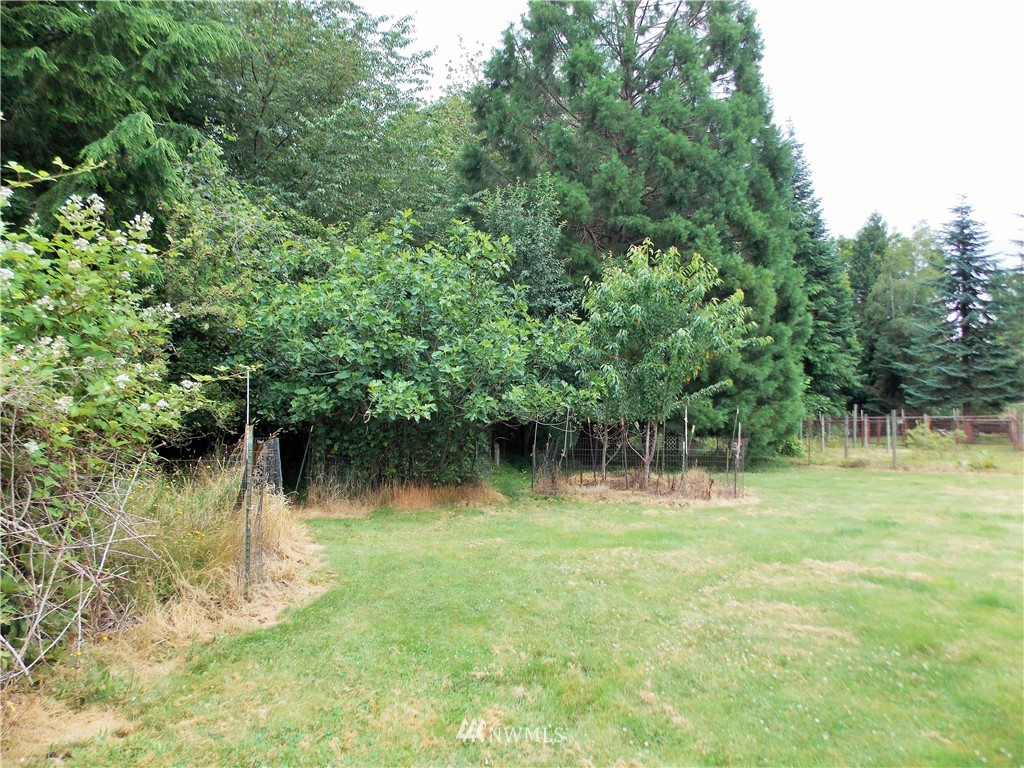 152 Del Ray Road Mossyrock, WA 98564 - Photo 24 of 34 Gallery Image 24
