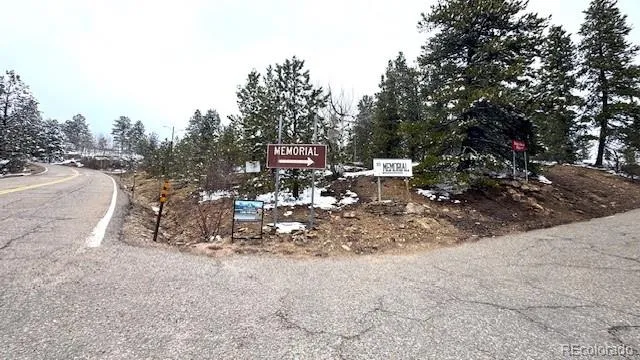 a view of a forest with trees
