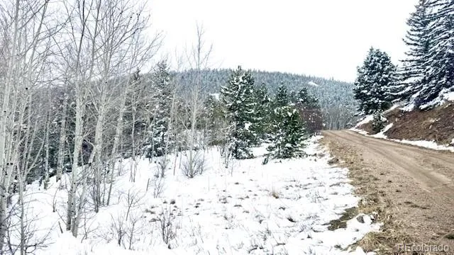 a view of a yard covered in snow