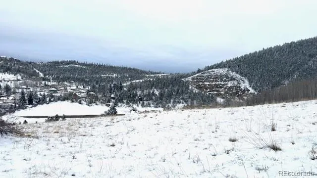 a view of a dry yard with a snow