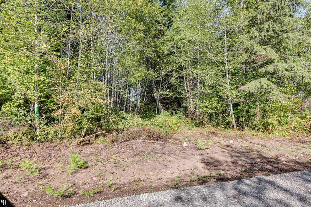 99941 Thomas Street Forks, WA 98331 - Photo 3 of 6 Gallery Image 3