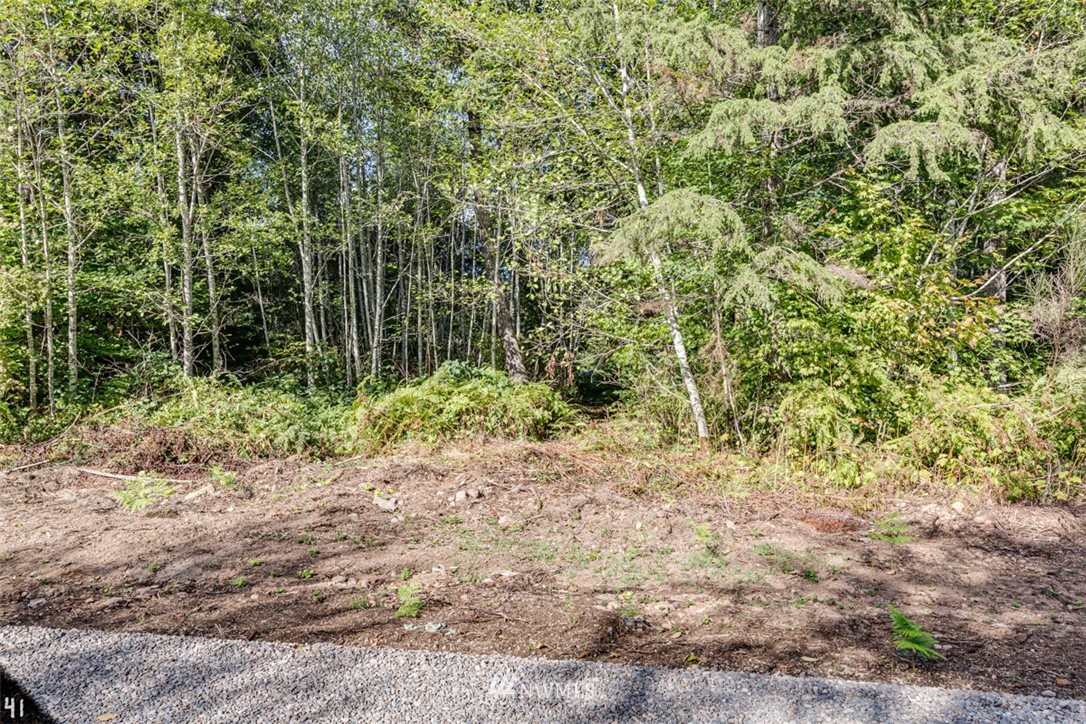 99941 Thomas Street Forks, WA 98331 - Photo 4 of 6 Gallery Image 4