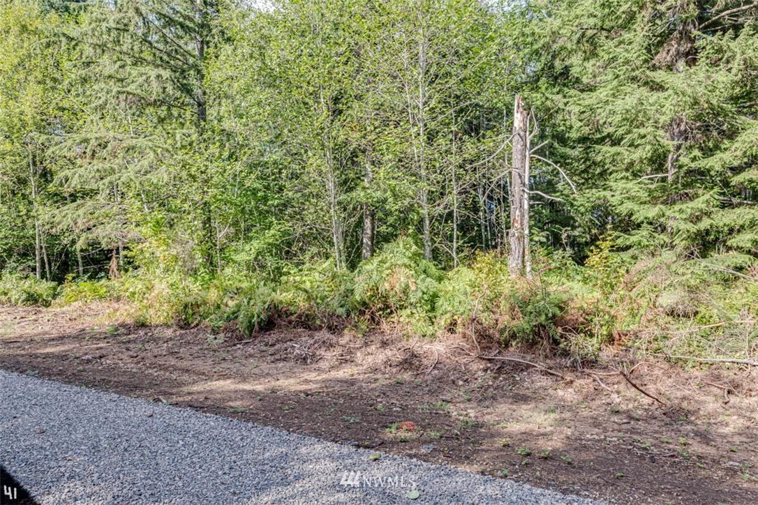 99941 Thomas Street Forks, WA 98331 - Photo 5 of 6 Gallery Image 5