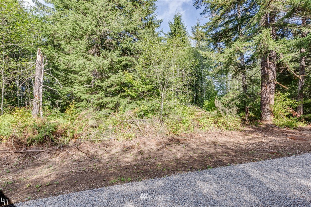 99941 Thomas Street Forks, WA 98331 - Photo 6 of 6 Gallery Image 6