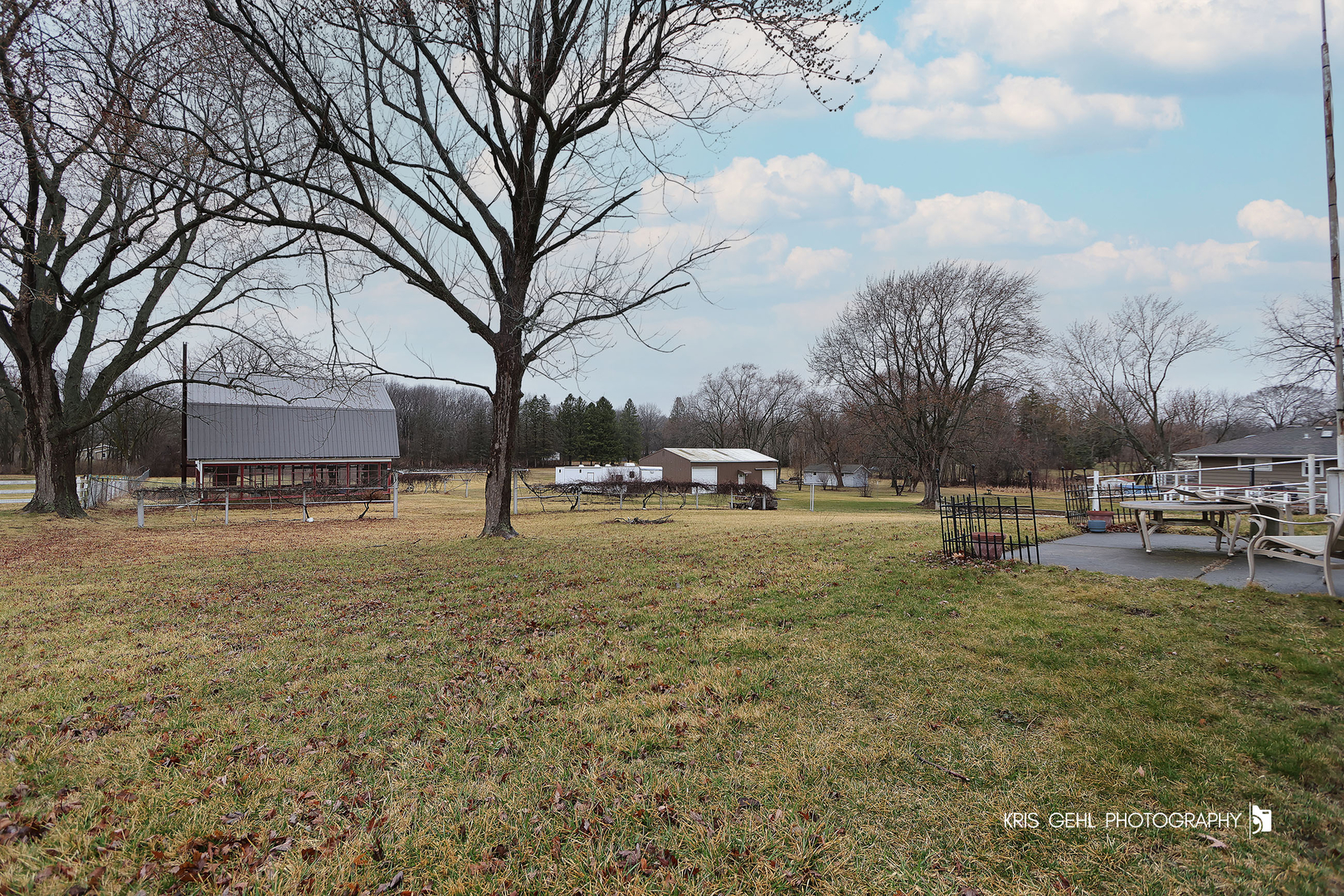 40798 North Forest View Road Wadsworth, IL 60083 - Photo 19 of 29 a view of yard with trees