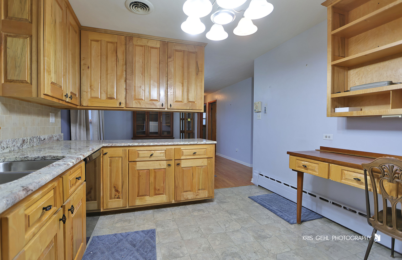 40798 North Forest View Road Wadsworth, IL 60083 - Photo 9 of 29 a kitchen with cabinets a sink and dishwasher