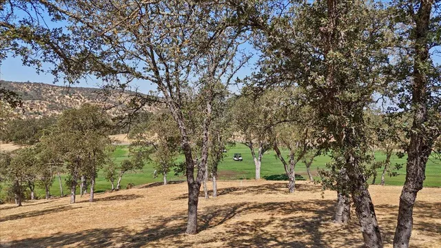 $1,485,000 | 20 Moss Wood Court, Copperopolis, CA 95228
