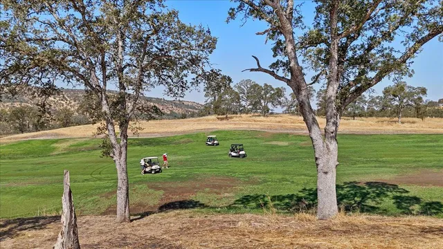 $1,485,000 | 20 Moss Wood Court, Copperopolis, CA 95228