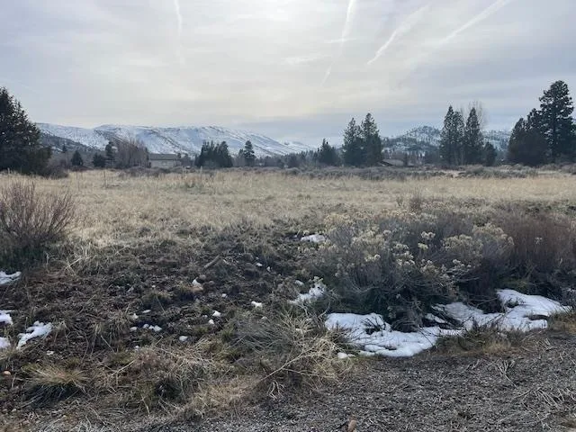 a view of a backyard of the house