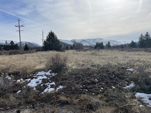 440 Rancho Cir Drive Loyalton, CA 96118 - Photo 3 of 4 a view of a forest with a house
