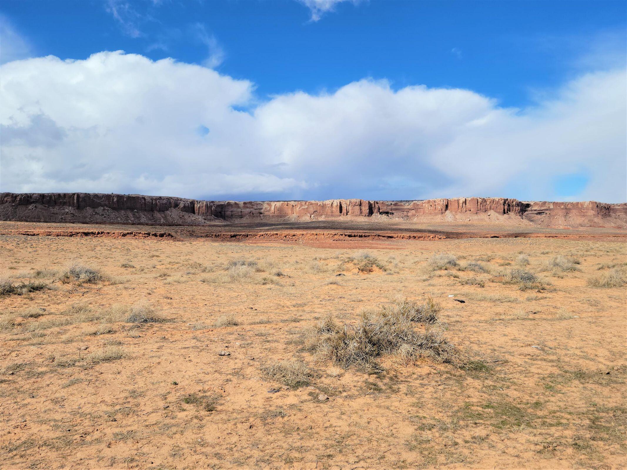 163 Bluff Ut 84512 Bluff, UT 84512 - Photo 5 of 8 pudge photo 5