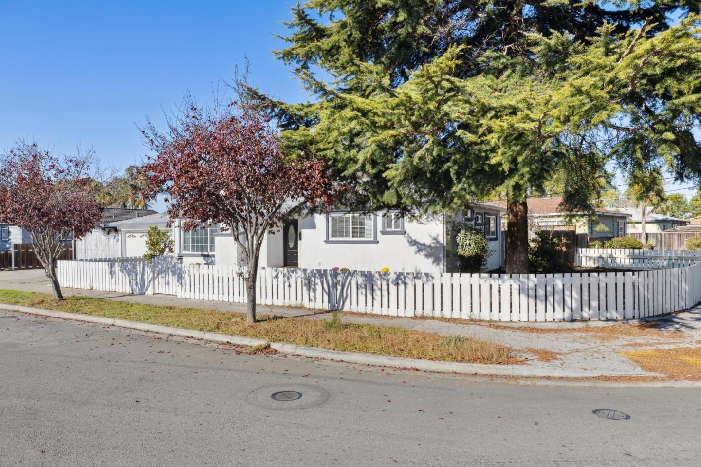 a view of a house with a small yard and large trees