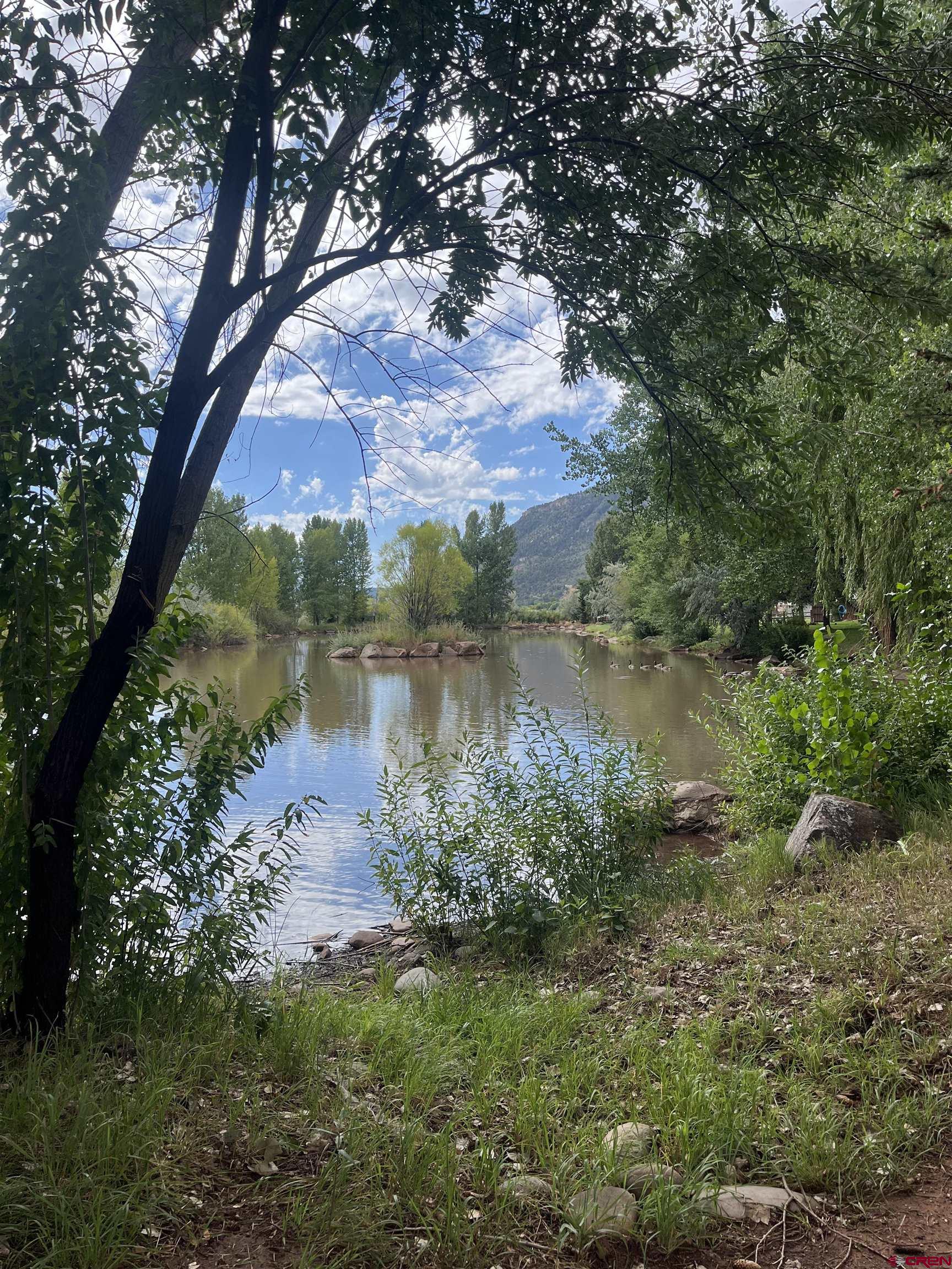 840 Waterfall Lane Durango, CO 81301 - Photo 31 of 31 a view of a lake with a tree