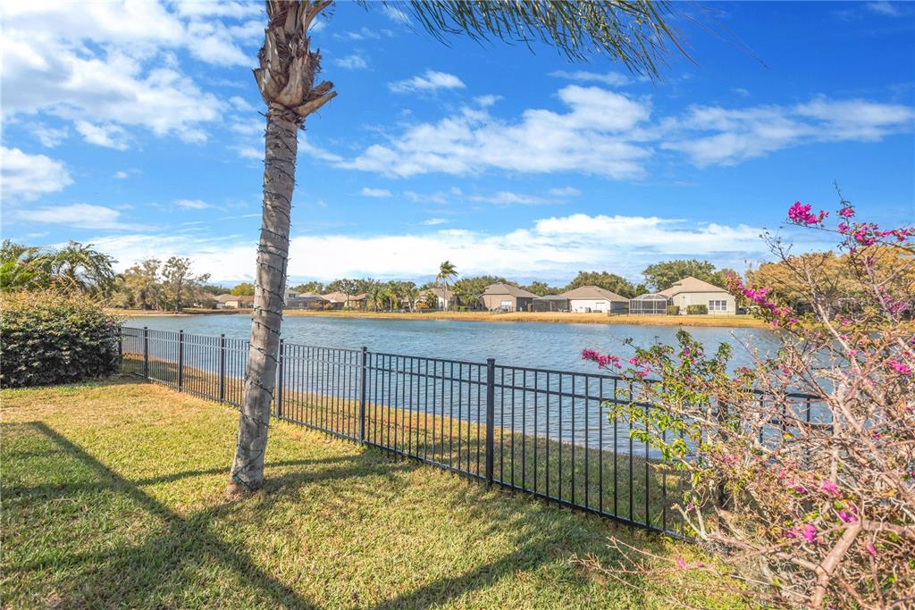19015 Fern Meadow Loop Lutz, FL 33558 - Photo 40 of 50 a view of a swimming pool with a patio