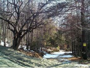 37 Ski Valley Road Waitsfield, VT 05673 - Photo 2 of 3 Gallery Image 2