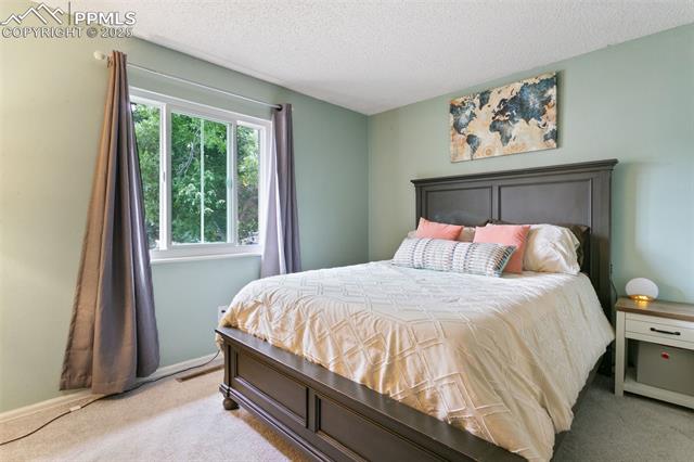 4710 Cheerful Road Colorado Springs, CO 80917 - Photo 28 of 28 Bedroom with carpet floors and a textured ceiling