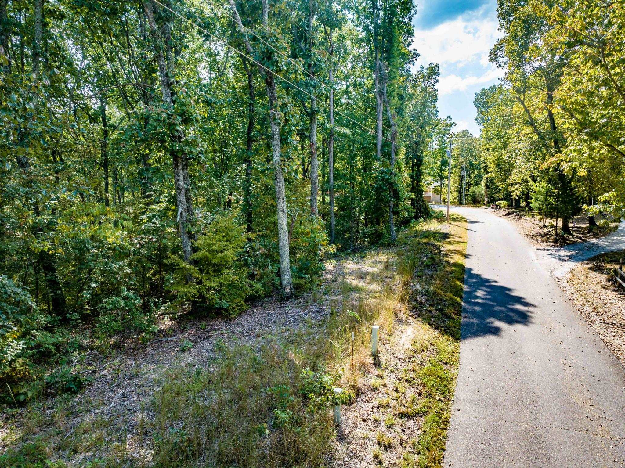 Lot 14-16 Ridgeway Drive Sugar Tree, TN 38380 - Photo 4 of 19 View of street