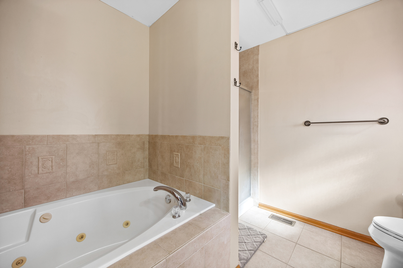 520 High Grove Drive Minooka, IL 60447 - Photo 23 of 43