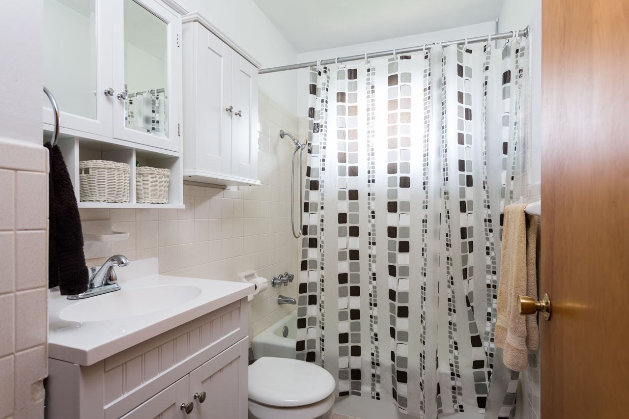 1119 North River Road Mount Solon, VA 22843 - Photo 11 of 24 a bathroom with a sink toilet and shower