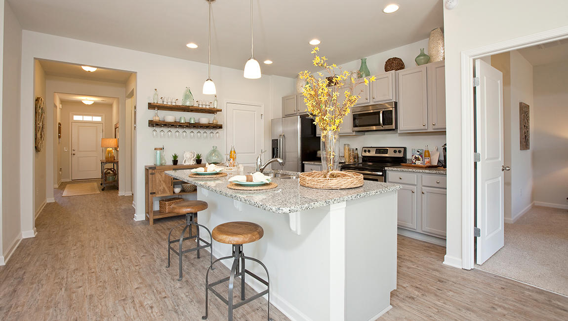 509 Glady Road Moncks Corner, SC 29461 - Photo 8 of 37 Aria-B-1618_New-South-Bridge-Model_Kitch
