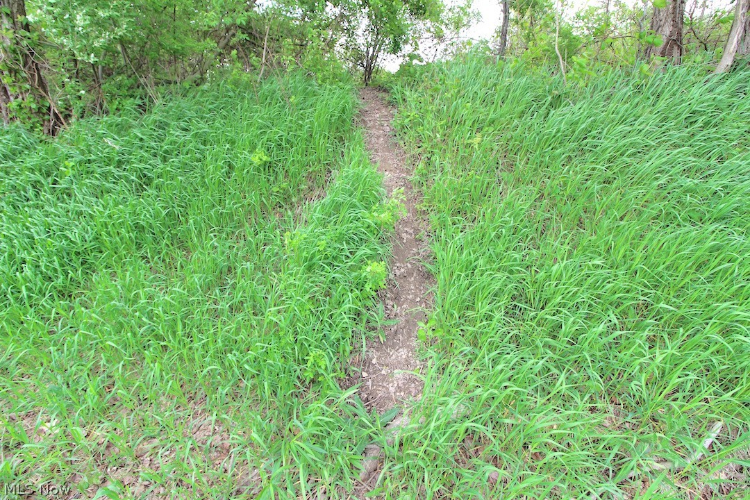 Boy Scout Road Dover, OH 44622 - Photo 23 of 27 Gallery Image 23