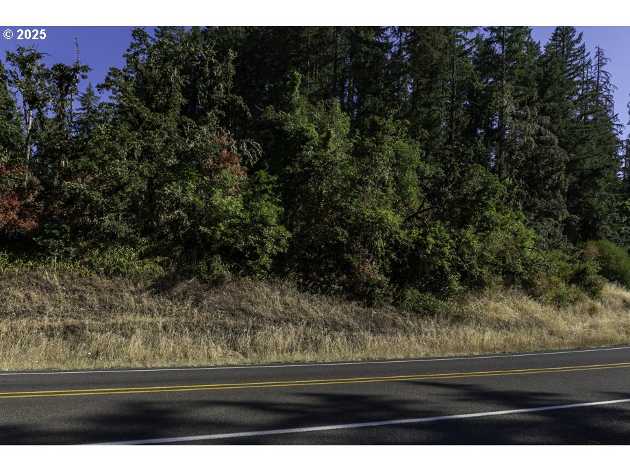 Camp Creek Rd Road, Unit 2400 Springfield, OR 97478 - Photo 28 of 29
