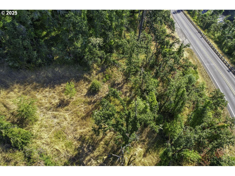 Camp Creek Rd Road, Unit 2400 Springfield, OR 97478 - Photo 5 of 29 a view of a yard