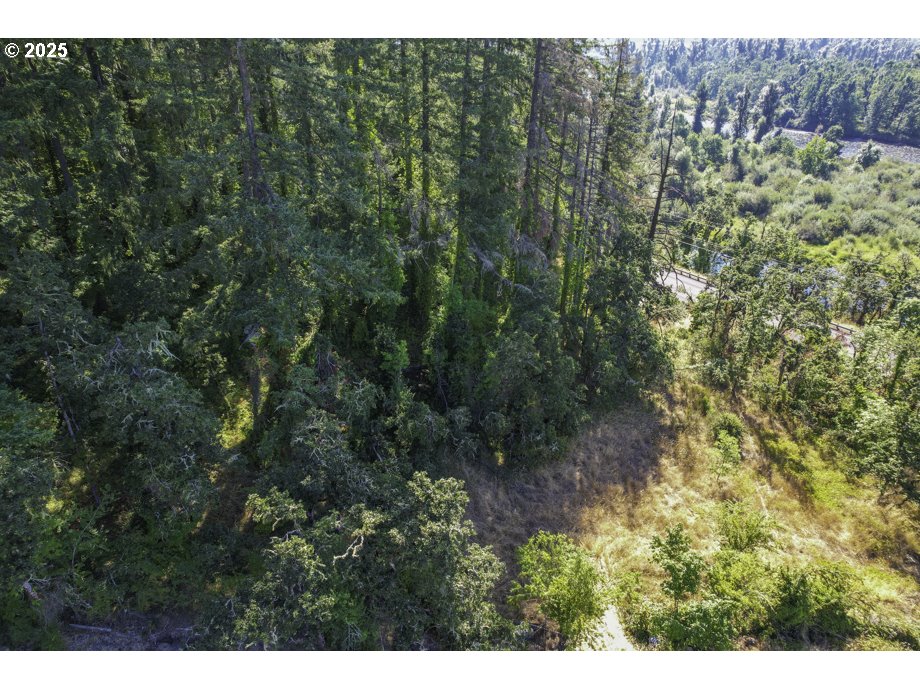 Camp Creek Rd Road, Unit 2400 Springfield, OR 97478 - Photo 7 of 29 a view of a forest with a street