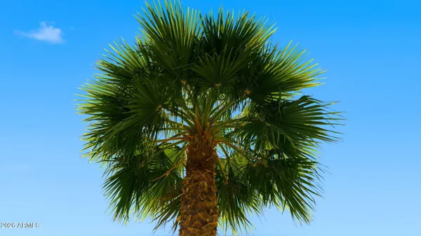 $500,000 | 1643 North 22nd Place, Phoenix, AZ 85006