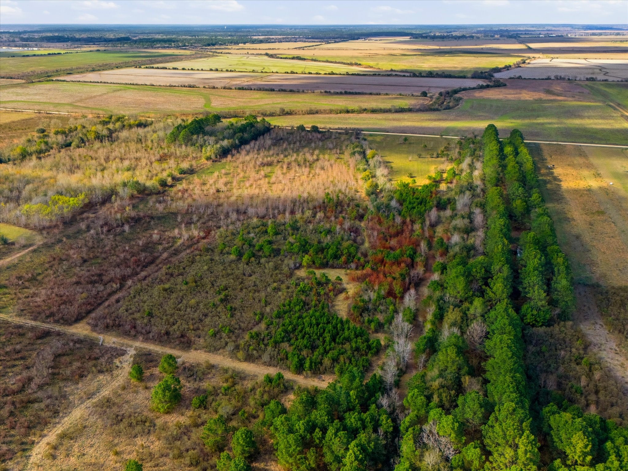 0 Heller Road Anahuac, TX 77514 - Photo 5 of 7