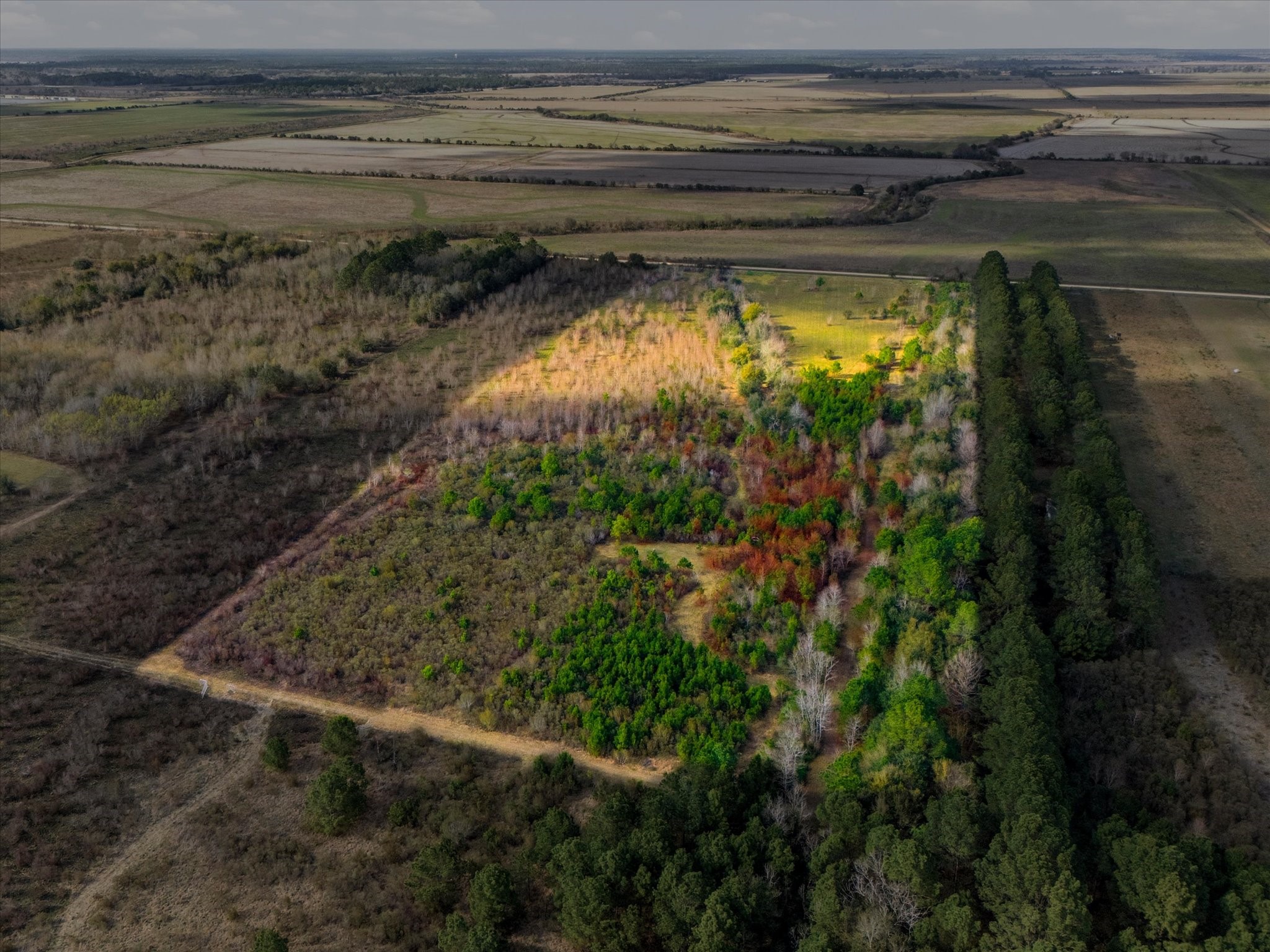 0 Heller Road Anahuac, TX 77514 - Photo 6 of 7