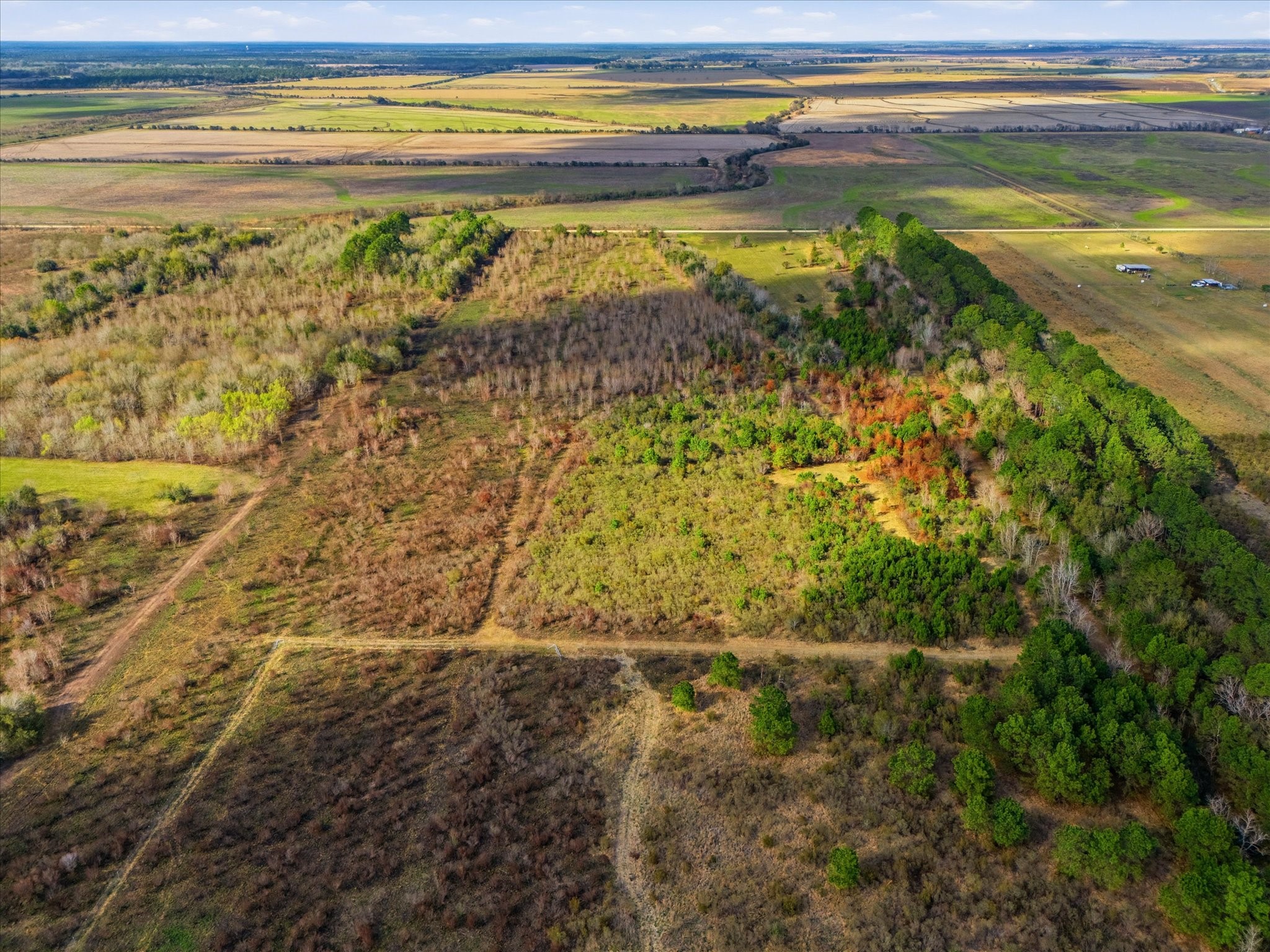 0 Heller Road Anahuac, TX 77514 - Photo 7 of 7