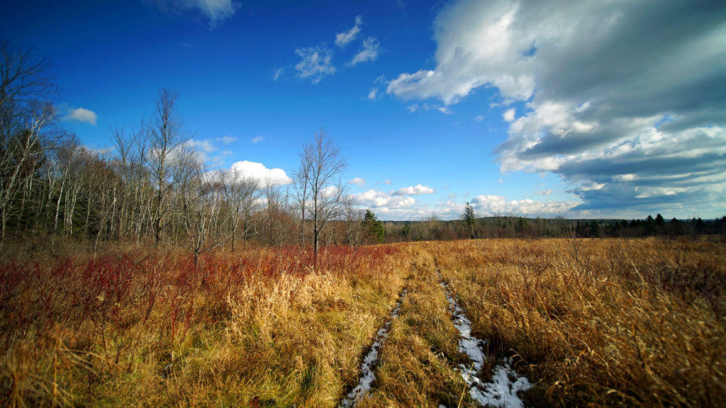 Lot 4.1 Lawlor Ridge Road Benedicta, ME 04733 - Photo 37 of 48 benedicta-me-land-22