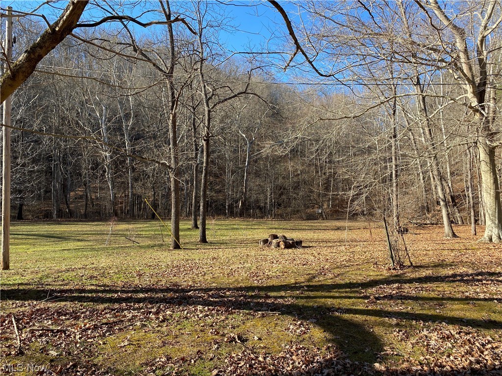 2008 Goose Creek Road Petroleum, WV 26161 - Photo 30 of 35 View of mother earth's splendor