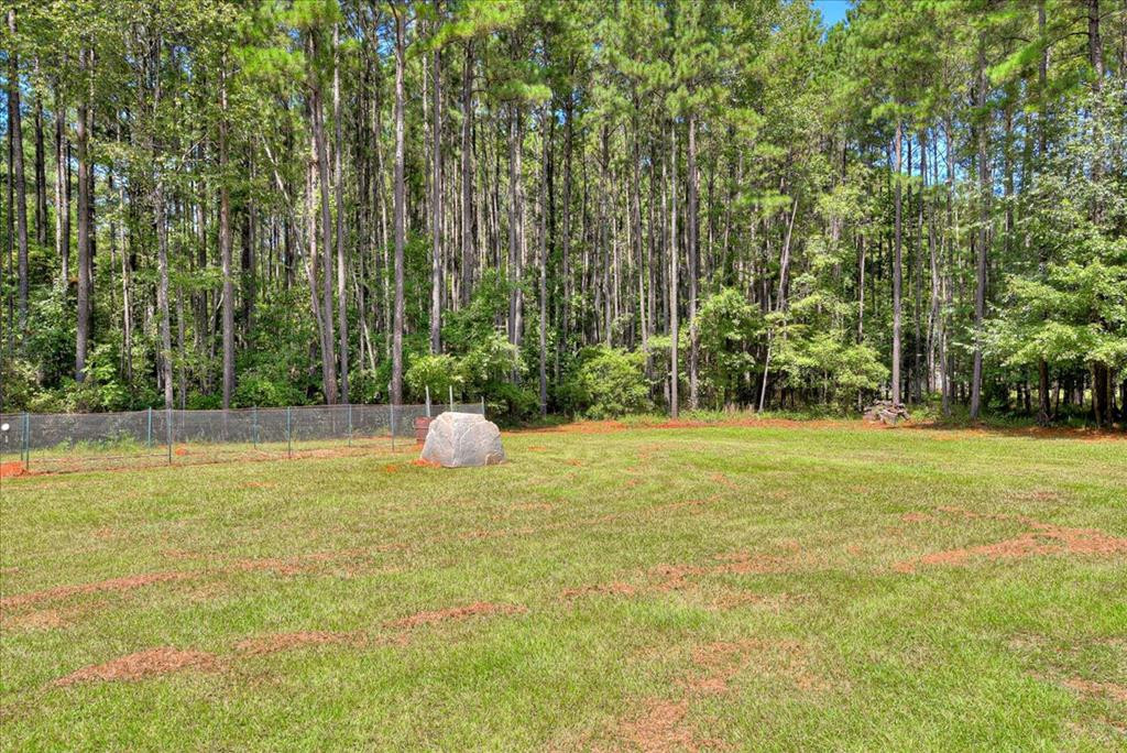 3558 Moon Mist Road Appling, GA 30802 - Photo 36 of 38