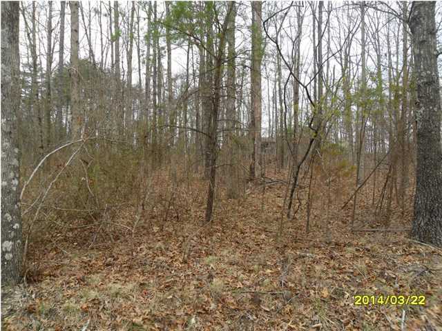 0 Sunset Drive, Unit LOT 2 Rising Fawn, GA 30738 - Photo 3 of 9 Additional Photo