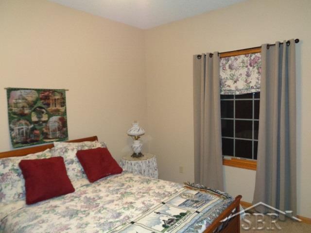 4493 South Fordney Road Hemlock, MI 48626 - Photo 22 of 28